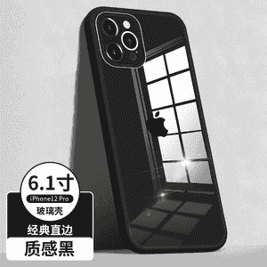 iPhone 12 modelli telefonlar üçin niýetlenen çehol.