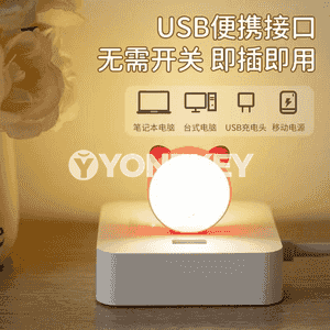 Akylly ses gijeki yşyklandyryjy 