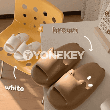 Erkekleriň tomus şypbyklary